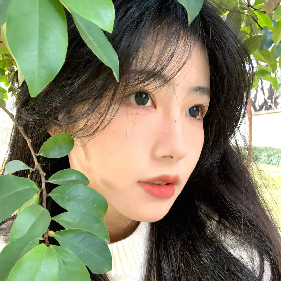 白屋之恋
